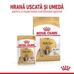 Royal Canin Shih Tzu Adult hrana umeda caine (pate), 12 x 85 g