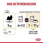 Royal Canin Shih Tzu Adult hrana umeda caine (pate), 12 x 85 g