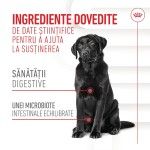 Royal Canin Suplimente, Digestion Chews, Adult, 160 g (Diete Veterinare - Caini)
