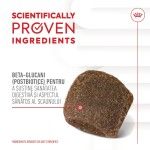 Royal Canin Suplimente, Digestion Chews, Adult, 160 g (Diete Veterinare - Caini)
