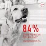 Royal Canin Suplimente, Digestion Chews, Adult, 160 g (Diete Veterinare - Caini)
