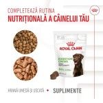 Royal Canin Suplimente, Digestion Chews, Adult, 160 g (Diete Veterinare - Caini)