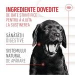 Royal Canin Suplimente, Immunity and Digestion Chews, Puppy, 100 g (Diete Veterinare - Caini)