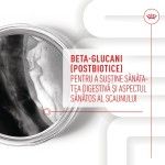 Royal Canin Suplimente, Immunity and Digestion Chews, Puppy, 100 g (Diete Veterinare - Caini)