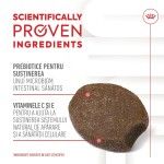 Royal Canin Suplimente, Immunity and Digestion Chews, Puppy, 100 g (Diete Veterinare - Caini)
