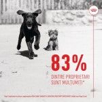 Royal Canin Suplimente, Immunity and Digestion Chews, Puppy, 100 g (Diete Veterinare - Caini)