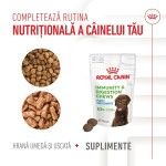 Royal Canin Suplimente, Immunity and Digestion Chews, Puppy, 100 g (Diete Veterinare - Caini)