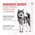 Royal Canin Suplimente, Joint & Ageing Chews, 240 g (Diete Veterinare - Caini)