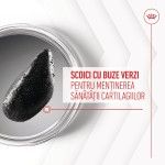Royal Canin Suplimente, Joint & Ageing Chews, 240 g (Diete Veterinare - Caini)