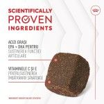 Royal Canin Suplimente, Joint & Ageing Chews, 240 g (Diete Veterinare - Caini)