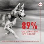 Royal Canin Suplimente, Joint & Ageing Chews, 240 g (Diete Veterinare - Caini)