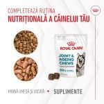 Royal Canin Suplimente, Joint & Ageing Chews, 240 g (Diete Veterinare - Caini)