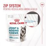 Royal Canin Suplimente, Joint & Ageing Chews, 240 g (Diete Veterinare - Caini)