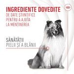 Royal Canin Suplimente, Skin & Coat Chews, 240 g (Diete Veterinare - Caini)