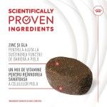 Royal Canin Suplimente, Skin & Coat Chews, 240 g (Diete Veterinare - Caini)