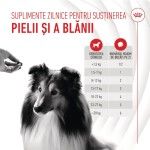 Royal Canin Suplimente, Skin & Coat Chews, 240 g (Diete Veterinare - Caini)