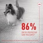 Royal Canin Suplimente, Skin & Coat Chews, 240 g (Diete Veterinare - Caini)