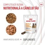 Royal Canin Suplimente, Skin & Coat Chews, 240 g (Diete Veterinare - Caini)