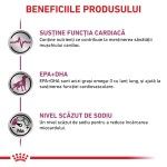 ROYAL CANIN Cardiac, XS-XL, dieta veterinara, hrana uscata caini, sistem cardio-vascular, 14 kg (Diete Veterinare - Caini)