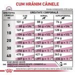 ROYAL CANIN Cardiac, XS-XL, dieta veterinara, hrana uscata caini, sistem cardio-vascular, 14 kg (Diete Veterinare - Caini)
