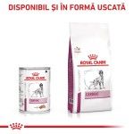 ROYAL CANIN Cardiac, XS-XL, dieta veterinara, conserva hrana umeda caini, sistem cardio-vascular, 410 g (Diete Veterinare - Caini)