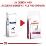 ROYAL CANIN Renal, XS-XL, dieta veterinara, hrana uscata caini, sistem renal, 2 kg (Diete Veterinare - Caini)