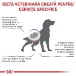 ROYAL CANIN Renal, XS-XL, dieta veterinara, hrana uscata caini, sistem renal, 2 kg (Diete Veterinare - Caini)