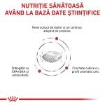 ROYAL CANIN Renal, XS-XL, dieta veterinara, hrana uscata caini, sistem renal, 2 kg (Diete Veterinare - Caini)