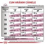 ROYAL CANIN Renal, XS-XL, dieta veterinara, hrana uscata caini, sistem renal, 2 kg (Diete Veterinare - Caini)