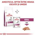 ROYAL CANIN Renal, XS-XL, dieta veterinara, hrana uscata caini, sistem renal, 2 kg (Diete Veterinare - Caini)