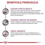 ROYAL CANIN Renal cu Vita, dieta veterinara pisici, sistem renal, (in sos), 85 g (Diete Veterinare - Pisici)