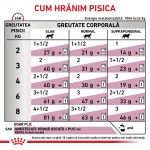ROYAL CANIN Renal cu Vita, dieta veterinara pisici, sistem renal, (in sos), 85 g (Diete Veterinare - Pisici)