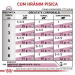 ROYAL CANIN Renal Chicken, dieta veterinara pisici, sistem renal, 85 g (Diete Veterinare - Pisici)