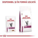 ROYAL CANIN Renal Chicken, dieta veterinara pisici, sistem renal, 85 g (Diete Veterinare - Pisici)