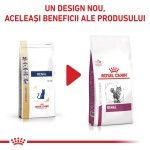 ROYAL CANIN Renal, dieta veterinara pisici, sistem renal, 4 kg (Diete Veterinare - Pisici)