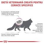 ROYAL CANIN Renal, dieta veterinara pisici, sistem renal, 4 kg (Diete Veterinare - Pisici)