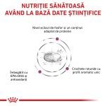 ROYAL CANIN Renal, dieta veterinara pisici, sistem renal, 4 kg (Diete Veterinare - Pisici)