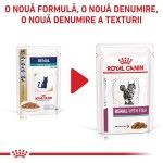 ROYAL CANIN Renal Fish, dieta veterinara pisici, sistem renal, 85 g (Diete Veterinare - Pisici)