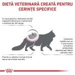 ROYAL CANIN Renal Special, dieta veterinara pisici, sistem renal, 4 kg (Diete Veterinare - Pisici)