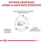ROYAL CANIN Renal Special, dieta veterinara pisici, sistem renal, 4 kg (Diete Veterinare - Pisici)