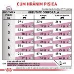 ROYAL CANIN Renal Special, dieta veterinara pisici, sistem renal, 4 kg (Diete Veterinare - Pisici)