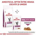 ROYAL CANIN Renal Special, dieta veterinara pisici, sistem renal, 4 kg (Diete Veterinare - Pisici)