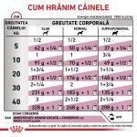 ROYAL CANIN Renal, XS-XL, dieta veterinara, conserva hrana umeda caini, sistem renal, (pate), 410 g (Diete Veterinare - Caini)
