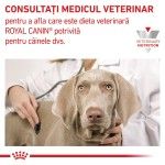 ROYAL CANIN Renal, XS-XL, dieta veterinara, conserva hrana umeda caini, sistem renal, (pate), 410 g (Diete Veterinare - Caini)