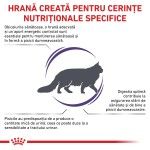 ROYAL CANIN Adult Cat, dieta veterinara pisici, 8 kg (Diete Veterinare - Pisici)