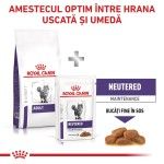 ROYAL CANIN Adult Cat, dieta veterinara pisici, 8 kg (Diete Veterinare - Pisici)