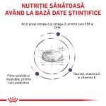 ROYAL CANIN Adult Medium Dog, M, dieta veterinara, hrana uscata caini, 4 kg (Diete Veterinare - Caini)