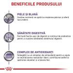 ROYAL CANIN Adult Medium Dog, M, dieta veterinara, hrana uscata caini, 4 kg (Diete Veterinare - Caini)