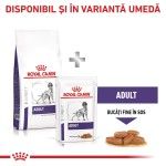 ROYAL CANIN Adult Medium Dog, M, dieta veterinara, hrana uscata caini, 4 kg (Diete Veterinare - Caini)