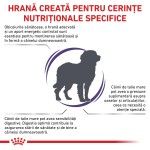 ROYAL CANIN Adult Large Dog, L-XL, dieta veterinara, hrana uscata caini, 13 kg (Diete Veterinare - Caini)